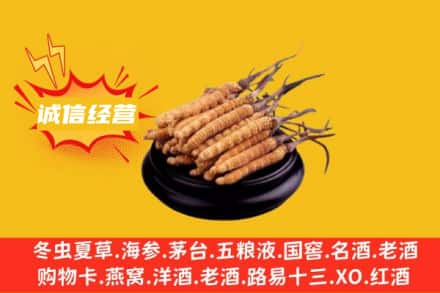 石门县回收冬虫夏草